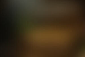 Фотография квеста-анимации Сокровища пиратов от компании Закулисье (Фото 1)