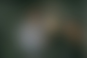 Фотография квеста По следам профессора Хартенберга от компании Mechanics Quest (Фото 3)